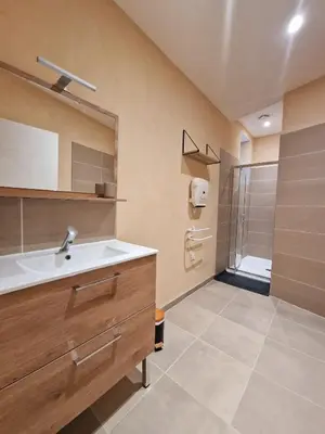 a bathroom with a sink and a shower at Appart Hôtel Du Grand Soleil in Saint-Chinian