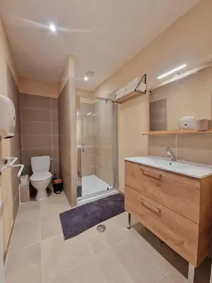a bathroom with a sink and a shower and a toilet at Appart Hôtel Du Grand Soleil in Saint-Chinian