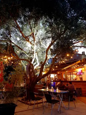 a group of people sitting at tables under a tree at Les chambres d'hôtes du Relais d'Aguilar in Tuchan