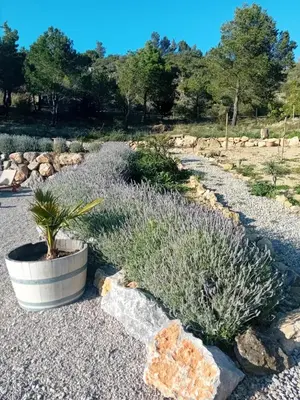 a garden with lavender and plants in a field at MaCoCo Maison Coeur Corbieres in Fontjoncouse
