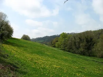 a field of green grass with a bird flying over it at Gîte La Maison du Meunier in Montredon-Labessonnié