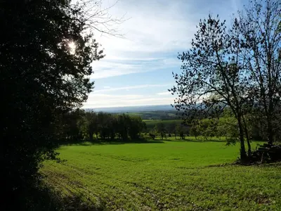 a large green field with trees in the distance at Gîte La Maison du Meunier in Montredon-Labessonnié