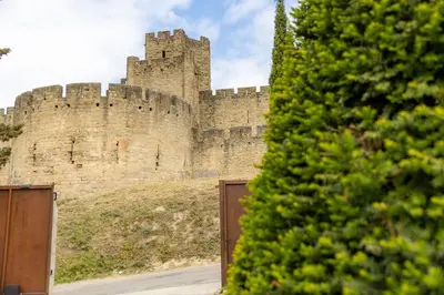 a large castle sitting on top of a hill at Sous les remparts la maison Pimprenelle in Carcassonne