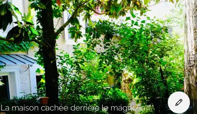 a tree in front of a building at Maison centre historique Le Préau saint Jacques in Castres