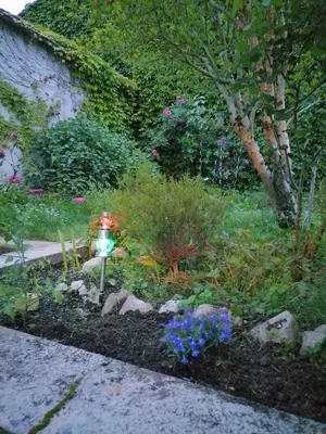 a garden with a fire hydrant in a yard at La Maison de Raph in Villeneuve dʼOlmes