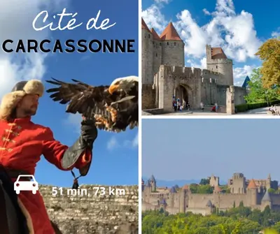 a collage of pictures of a castle and a man holding an eagle at Appartement Bora Bora in Narbonne