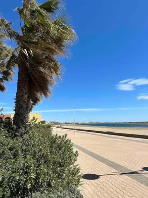 a palm tree on the side of a beach at Studio COSY à deux pas de la PLAGE ! in Gruissan