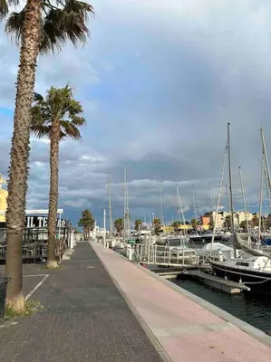 a walkway next to a marina with boats and palm trees at Studio COSY à deux pas de la PLAGE ! in Gruissan