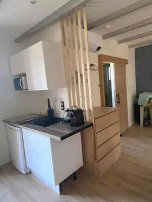a kitchen with a sink and a counter top at Tiny-house chez l'habitant in Lautrec