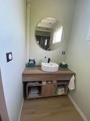 a bathroom with a sink and a mirror at Tiny-house chez l'habitant in Lautrec