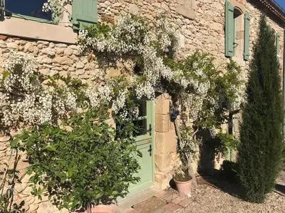 a green door on a stone building with plants at Villa - Mas de campagne prestigieux- Authentic french countryhouse in dream countryside in Algans