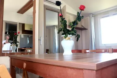 a vase with flowers sitting on top of a table at Mobilhome «Aux Portes du Soleil» in Sigean