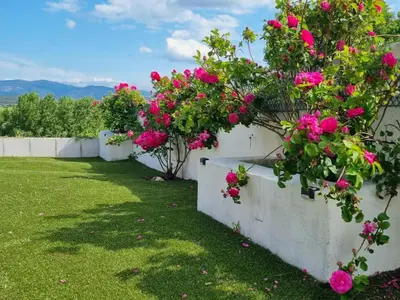a garden with pink flowers on a wall at Panorama in Rieux-Minervois