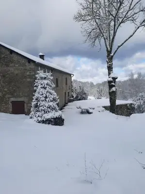 a tree covered in snow next to a building at Maison en pierre dans le Sidobre in Le Bez