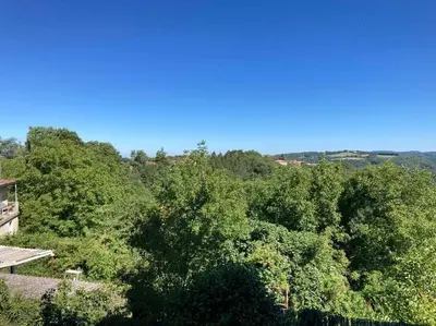 an overhead view of a forest of trees at Maison en pierre dans le Sidobre in Le Bez