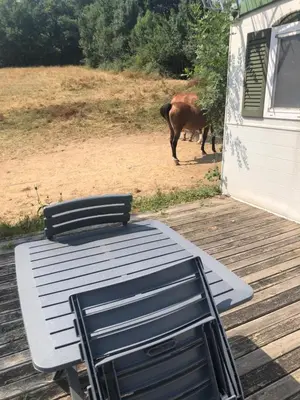 a table and chairs on a deck with a horse in the background at Mobil home 3 CH in Damiatte