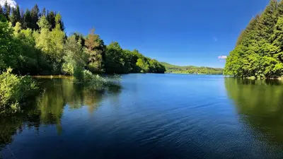 a large lake with trees on the side of it at Chalet dans le parc d'un manoir du XIXème in Anglès