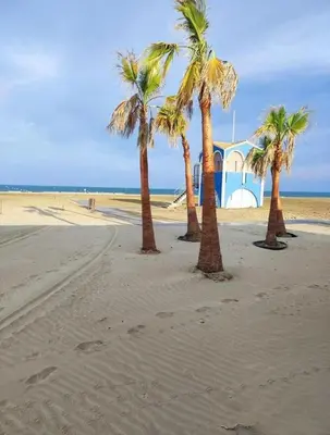 a group of palm trees on a sandy beach at Mobil Home de Marine in Port-la-Nouvelle