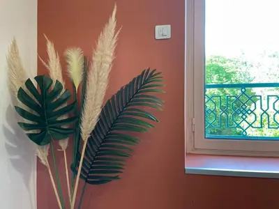 a plant in a vase next to a window at Studio Le Cilaos, au cœur de Castres in Castres