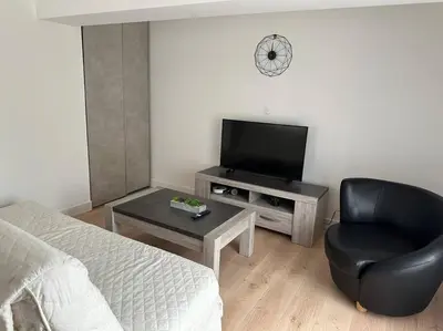 a living room with a bed and a chair and a television at Chez Gaëlle in Trèbes