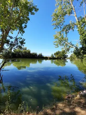a view of a lake with trees on the shore at demeure de charme in Mazères