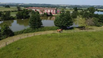 a horse standing in a field next to a lake at demeure de charme in Mazères