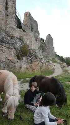 a group of people with horses in a field at Gîtes à la Ferme - Hautes-Corbières in Termes