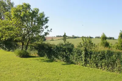 a hedge in a field with a tree in the background at La Naillousaine in Nailloux