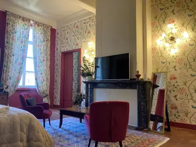 a hotel room with a fireplace and a television at Les Ordalies in Castelnaudary
