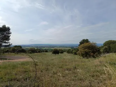 a field of grass with trees in the distance at Maison Magnolia in Marcorignan