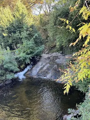 a stream of water in a forest with trees at la Tour du Grand DUC in Cenne-Monestiès