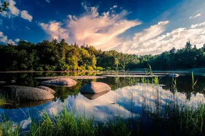 a lake with rocks in the water and trees at Villa 140 m² hab. avec piscine in Castres