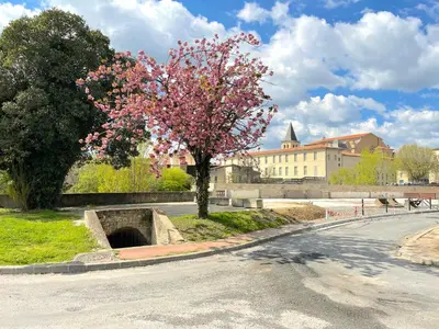a tree on the side of a road at L'intemporel - Grand T2 Confort en Hypercentre in Castres