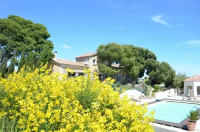 a house with a swimming pool and yellow flowers at Domaine Ô Lingot d'Oc in Roubia
