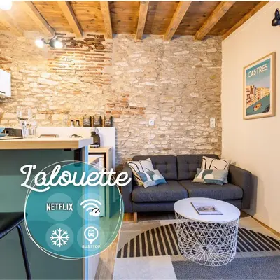 a living room with a couch and a table at L'alouette - Studio Duplex Confort en Hypercentre in Castres
