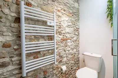 a bathroom with a stone wall and a toilet at L'alouette - Studio Duplex Confort en Hypercentre in Castres