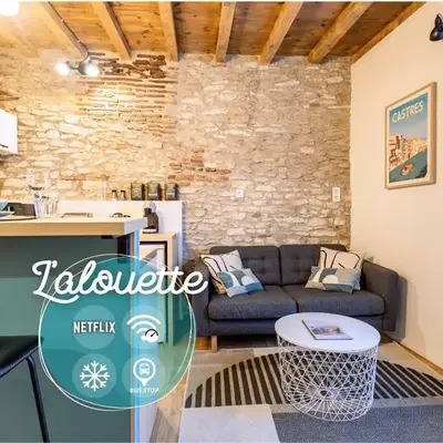 L'alouette - Studio Duplex Confort en Hypercentre