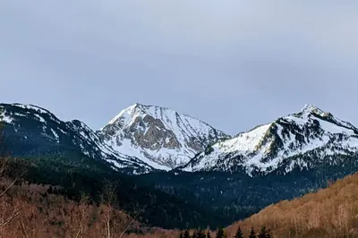 a snow covered mountain with trees in front of it at Grand gîte au cœur des Pyrénées - Ariège Mijanes in Mijanès