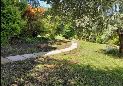 a path in a garden with a tree and grass at chambre et salle de bain privé s'ouvrant sur terrasse, jardin et cuisine d'été in Quillan