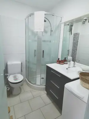 a bathroom with a shower and a toilet and a sink at Plage des Chalets appartement T2+terrasse in Gruissan