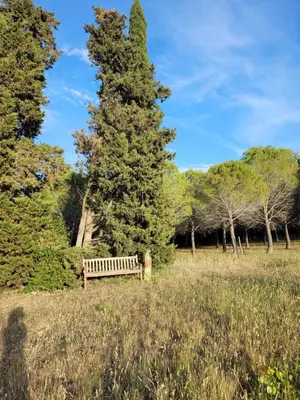 a bench in a field next to a large tree at Casa Allègre in Aigne