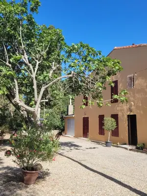 a courtyard of a house with trees and plants at Casa Allègre in Aigne