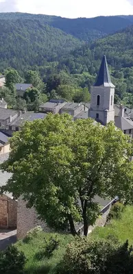 a tree in front of a building with a church at Maison proche de la nature in Quérigut