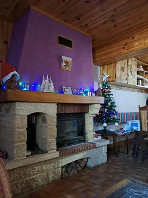 a living room with a fireplace and a christmas tree at Maison proche de la nature in Quérigut