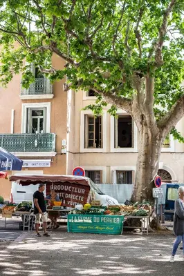 a man standing next to a fruit and vegetable stand in front of a tree at Maison avec piscine, vue sur le Canal du Midi in Capestang