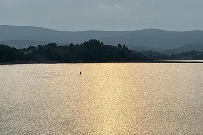 a large body of water with a bird in it at La Remise des Amis - Proche du centre du village in Peyriac-de-Mer