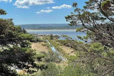 a view of a river from a hill with trees at La Remise des Amis - Proche du centre du village in Peyriac-de-Mer