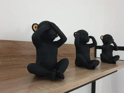 three black chimpanzees sitting on a wooden table at Le Jungle in Pamiers