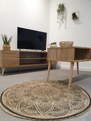a living room with a tv and a coffee table at Le Jungle in Pamiers