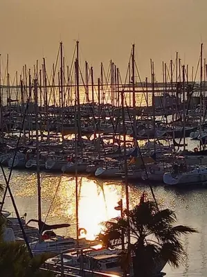 a group of boats are docked in a harbor at Le Sept in Gruissan